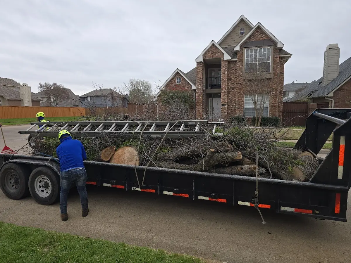 Expert Lot Clearing with proper safety equipment in Cisco